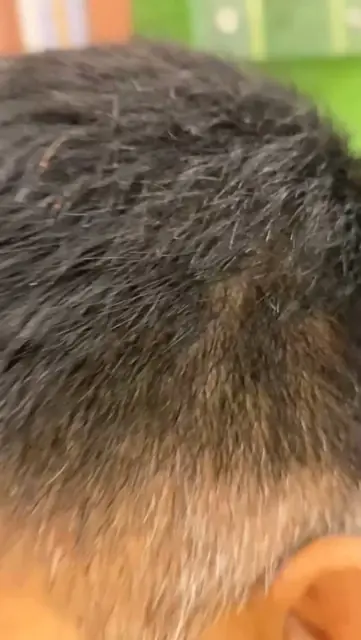 Close-up detailing — Royal Men's Salon